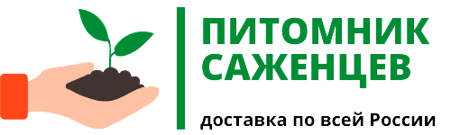 Питомник саженцев