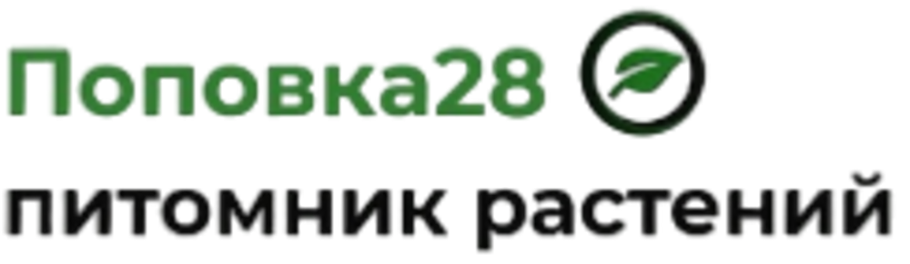 Поповка28 Поповка28