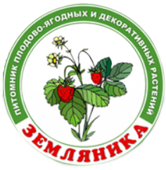 Питомник "Земляника"