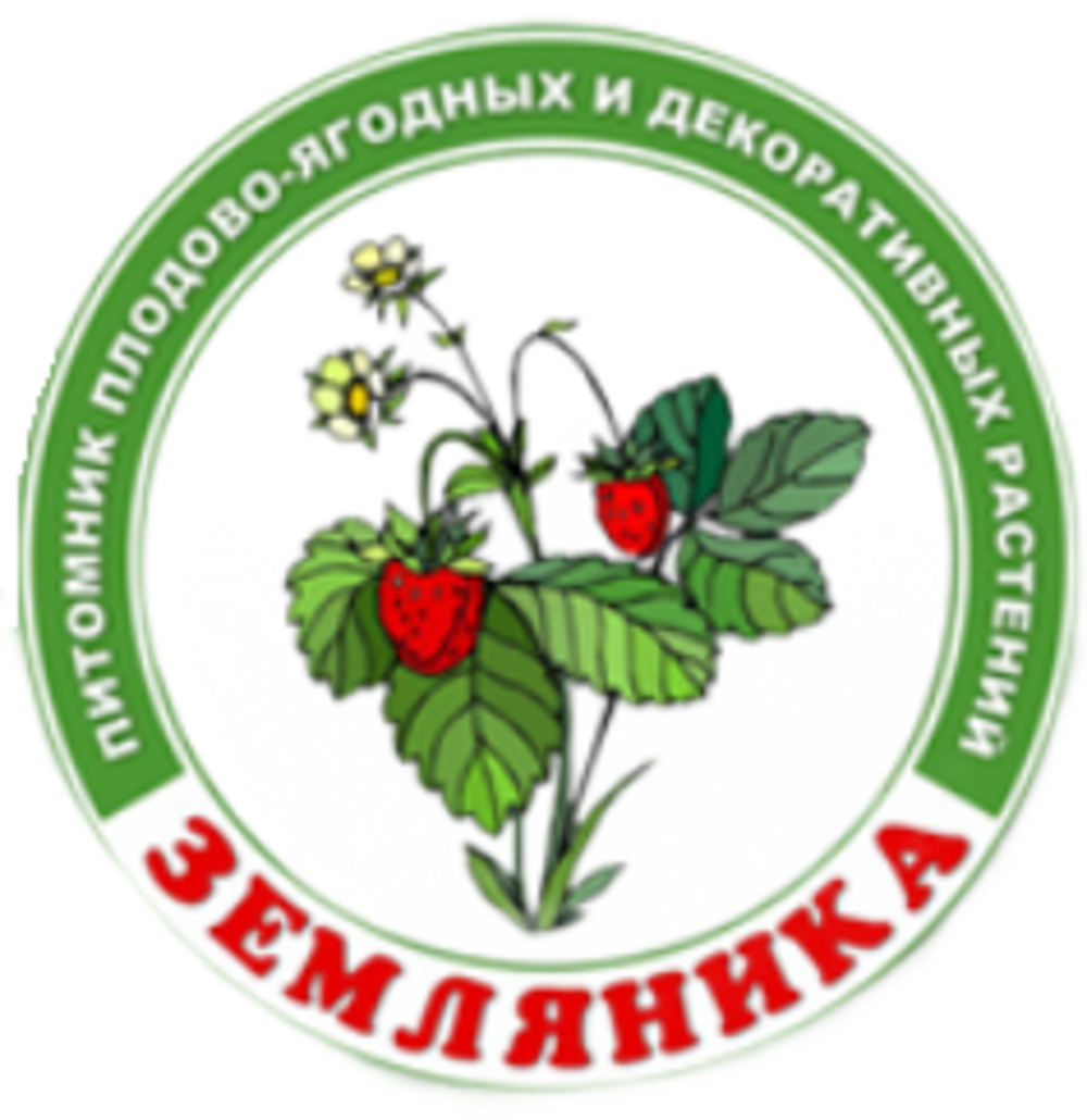 Питомник "Земляника" Питомник "Земляника"