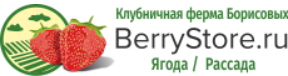 Berry Store