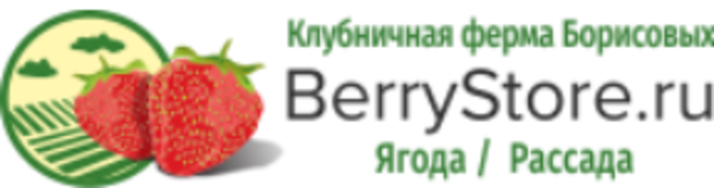 Berry Store Berry Store