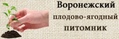 Воронежский плодово-ягодный питомник