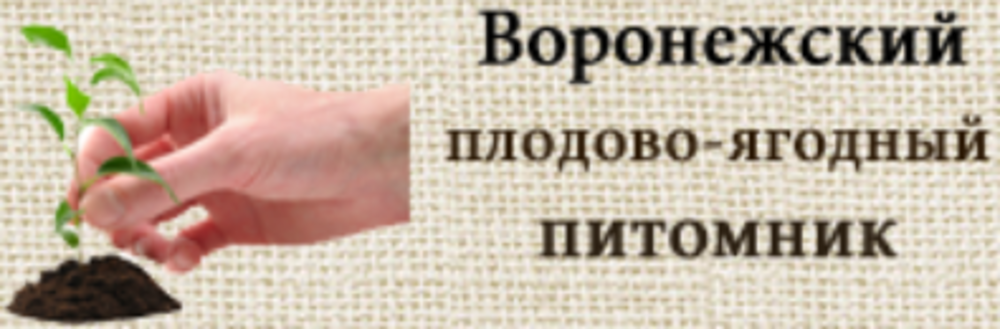 Воронежский плодово-ягодный питомник Воронежский плодово-ягодный питомник