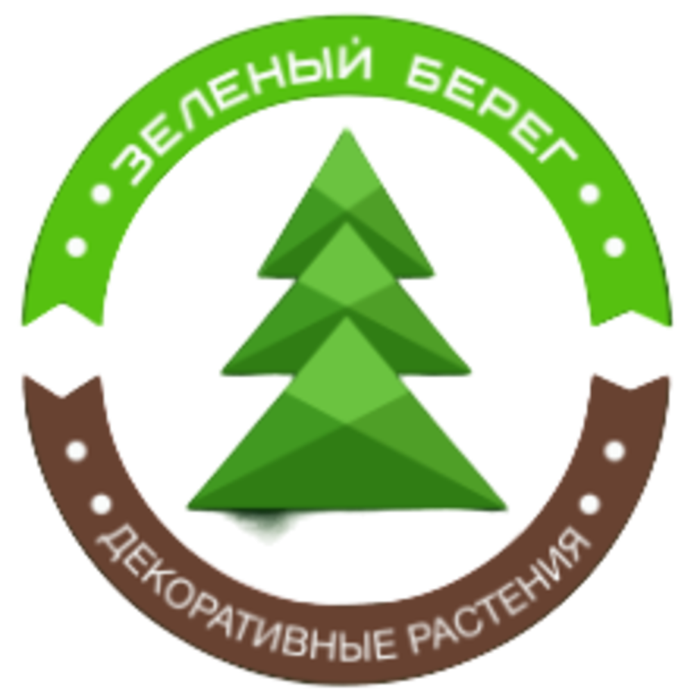 Зеленый Берег Зеленый Берег