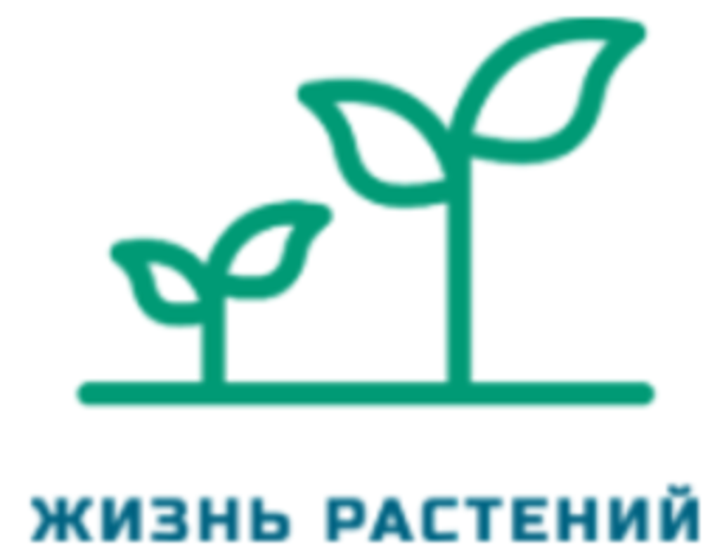 Жизнь растений Жизнь растений