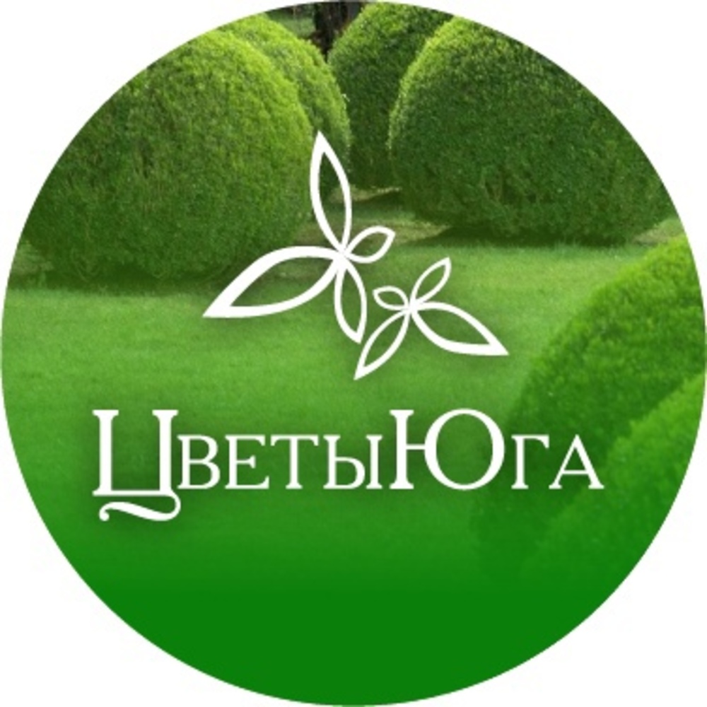 Цветы Юга Цветы Юга