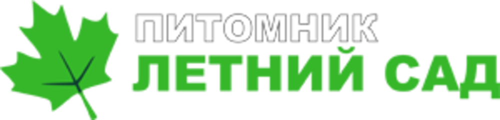 Летний Сад Летний Сад