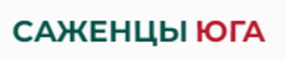 Саженцы юга Саженцы юга