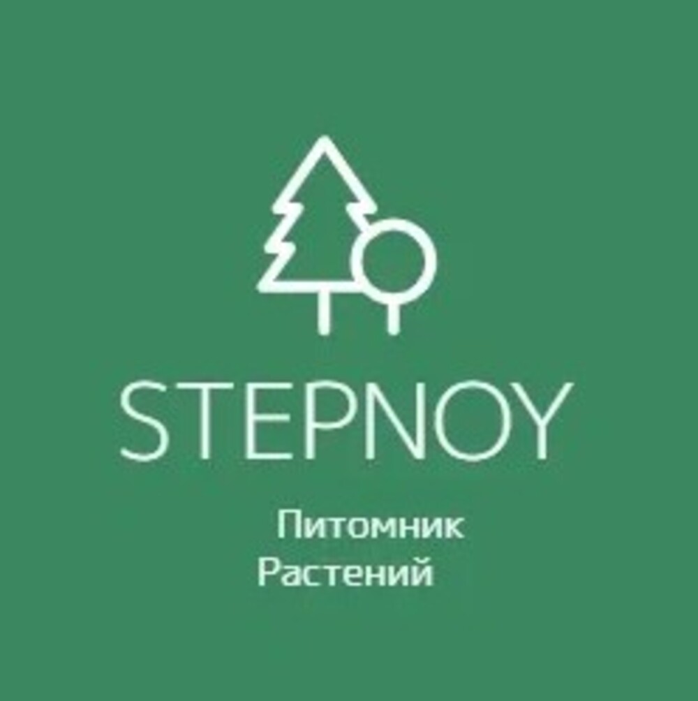 Степной Степной