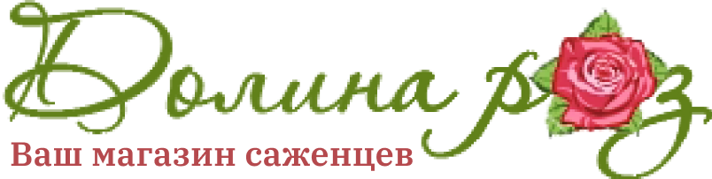 Долина роз Долина роз