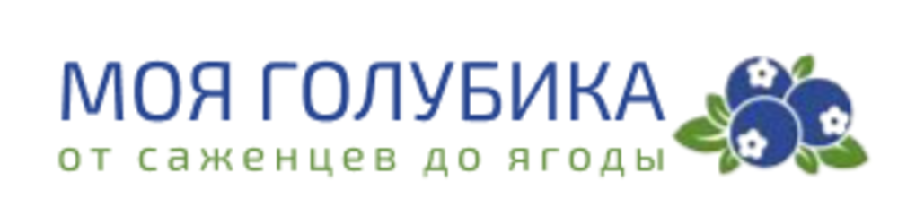 МОЯГОЛУБИКА МОЯГОЛУБИКА