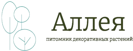 Аллея Аллея