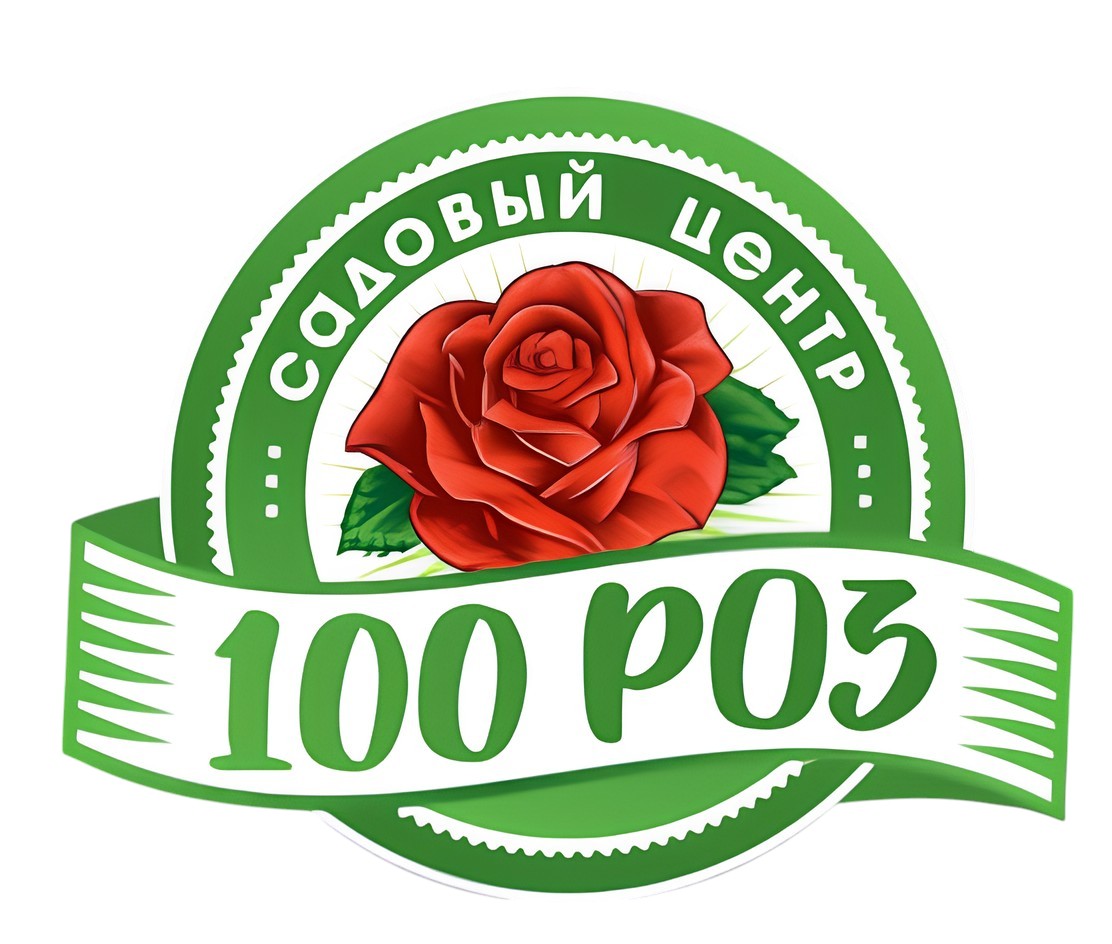 100 роз 100 роз