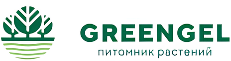 Greengel