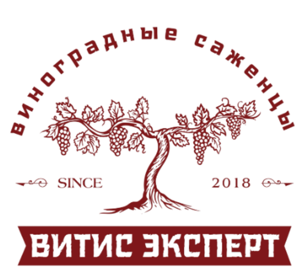 Vitis Expert