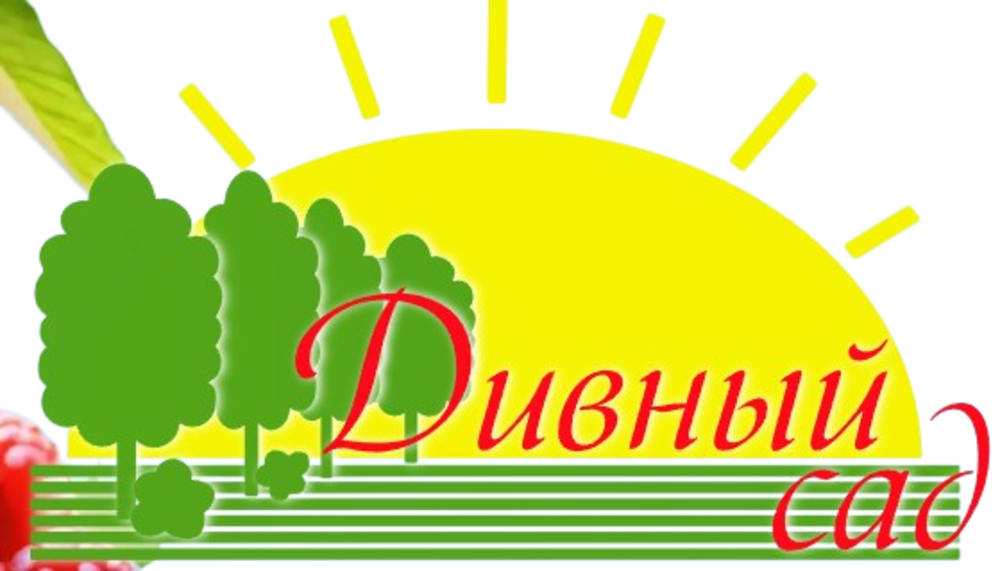 Дивный сад Дивный сад