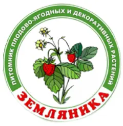 Питомник "Земляника"