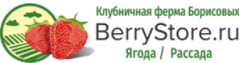 Berry Store