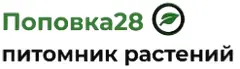 Поповка28