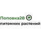 Поповка28