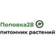 Поповка28