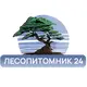 Лесопитомник 24