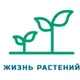 Жизнь растений
