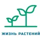 Жизнь растений