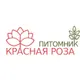 Красная Роза