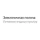 Земляничная поляна