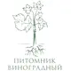 Виноградный